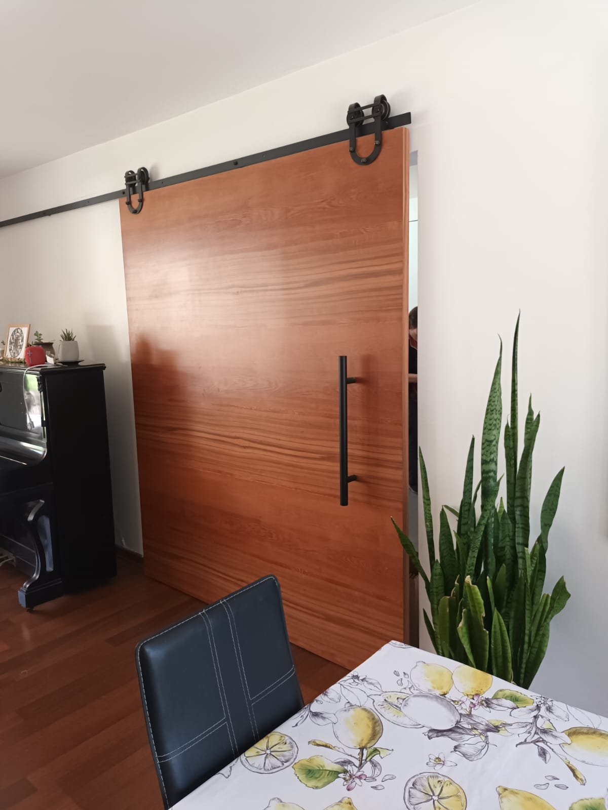 Trabajo Puertas Valencia